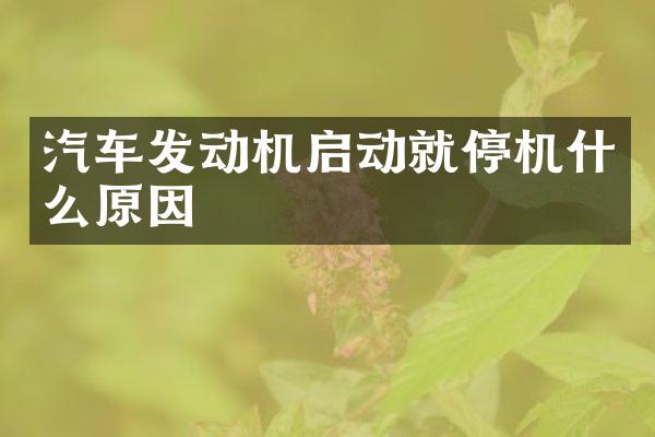 汽车发动机启动就停机什么原因