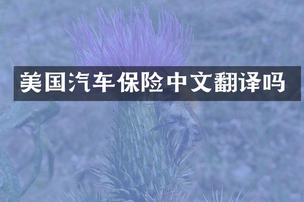美国汽车保险中文翻译吗