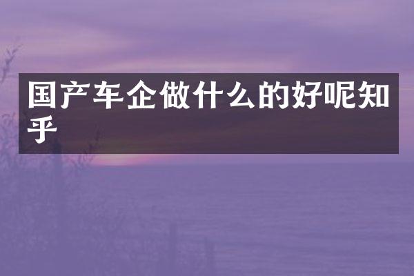 国产车企做什么的好呢知乎