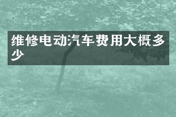 维修电动汽车费用大概多少