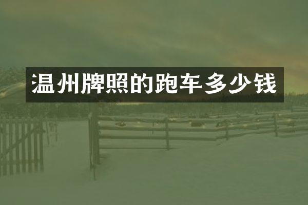 温州牌照的跑车多少钱
