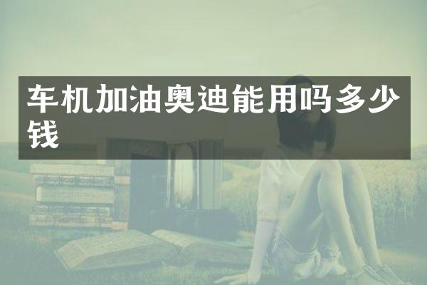 车机加油奥迪能用吗多少钱