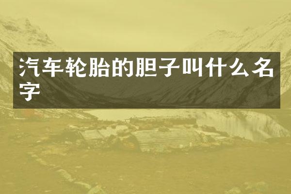 汽车轮胎的胆子叫什么名字