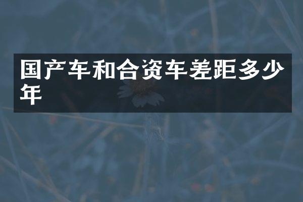 国产车和合资车差距多少年