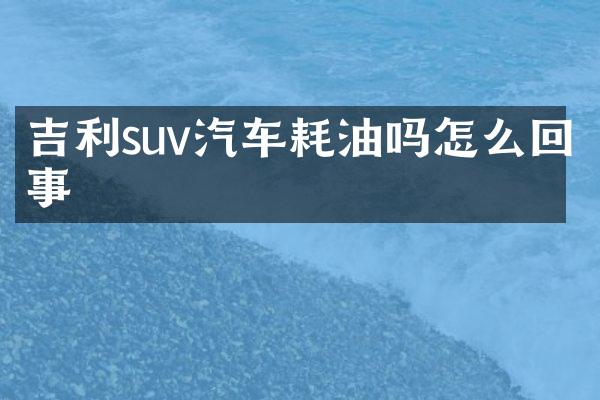 吉利suv汽车耗油吗怎么回事
