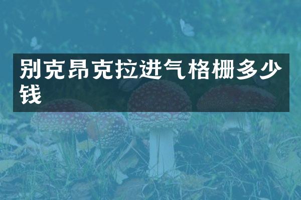 别克昂克拉进气格栅多少钱