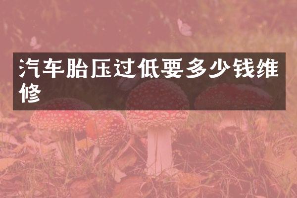 汽车胎压过低要多少钱维修