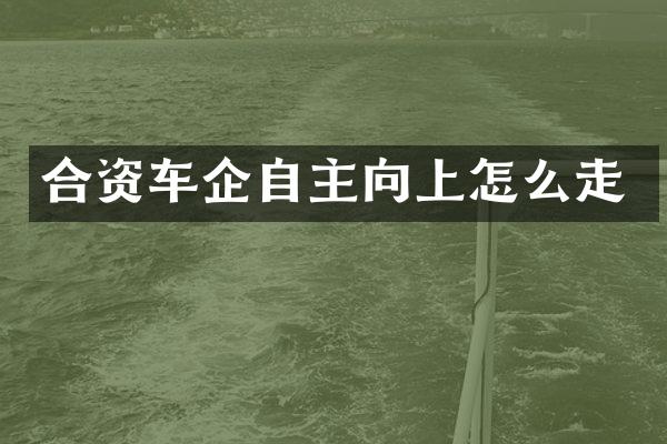 合资车企自主向上怎么走