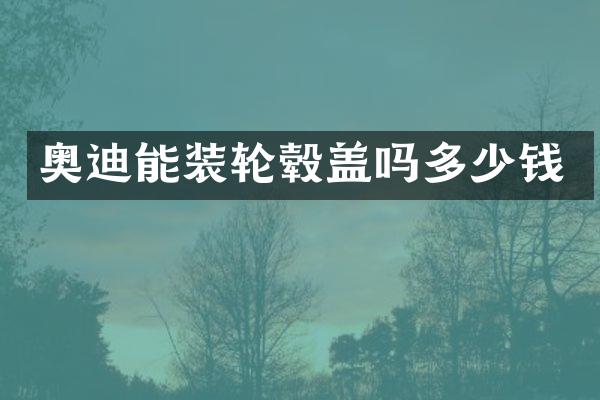 奥迪能装轮毂盖吗多少钱