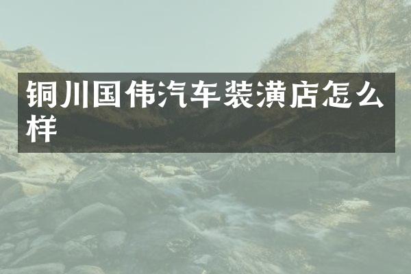 铜川国伟汽车装潢店怎么样