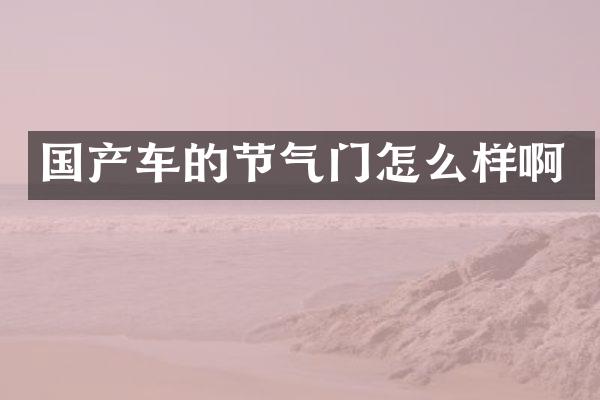 国产车的节气门怎么样啊