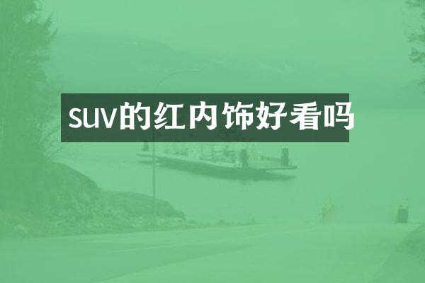 suv的红内饰好看吗