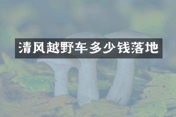 清风越野车多少钱落地