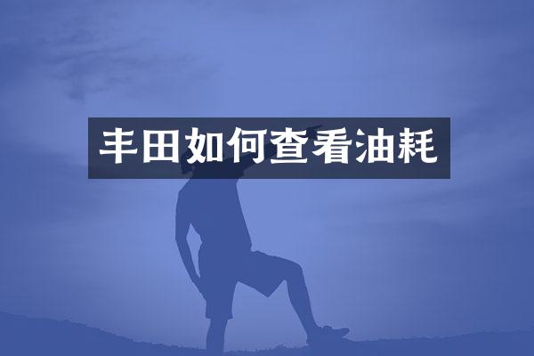 丰田如何查看油耗
