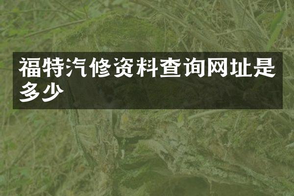 福特汽修资料查询网址是多少