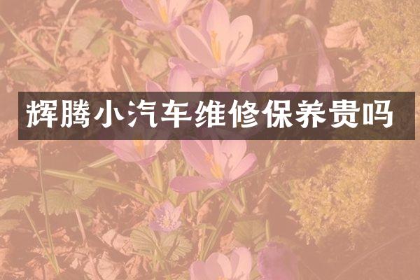 辉腾小汽车维修保养贵吗