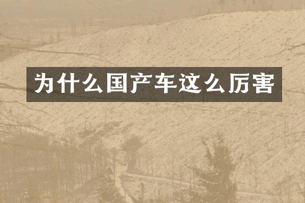 为什么国产车这么厉害