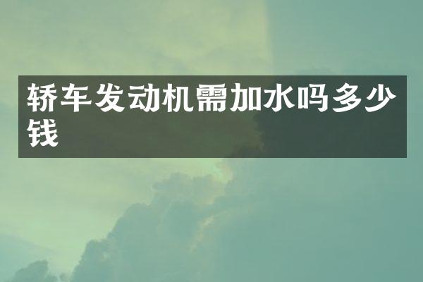 轿车发动机需加水吗多少钱