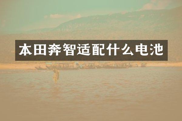 本田奔智适电池