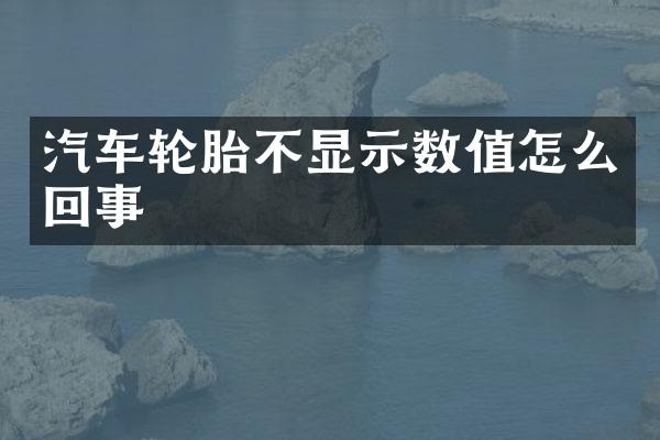 汽车轮胎不显示数值怎么回事