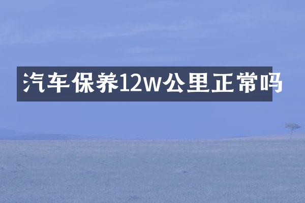 汽车保养12w公里正常吗