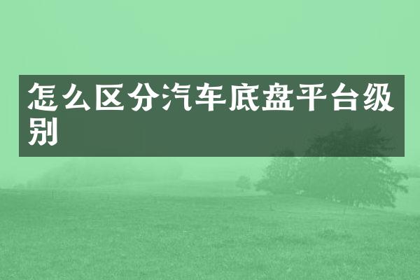 怎么区分汽车底盘平台级别
