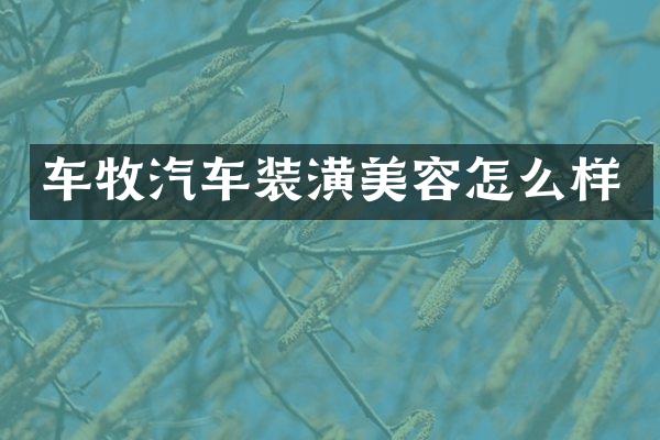 车牧汽车装潢美容怎么样