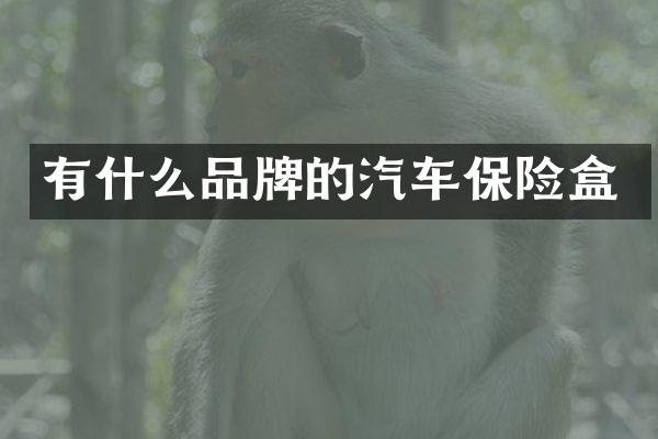有什么品牌的汽车保险盒