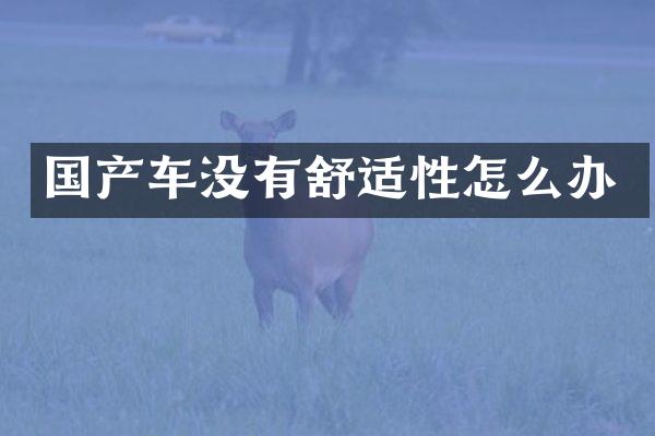 国产车没有舒适性怎么办