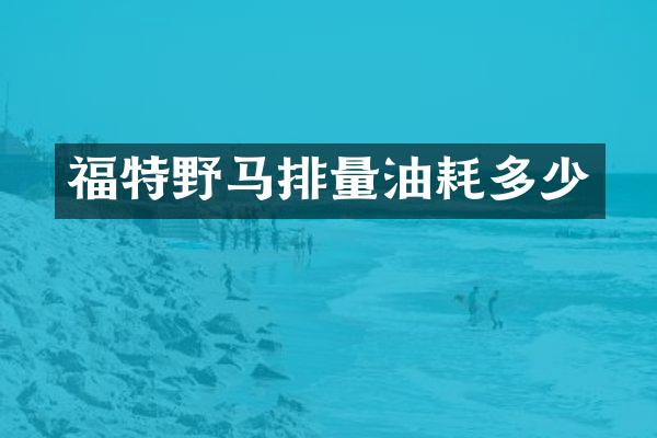 福特野马排量油耗多少
