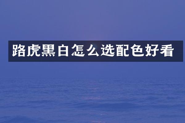 路虎黑白怎么选配色好看