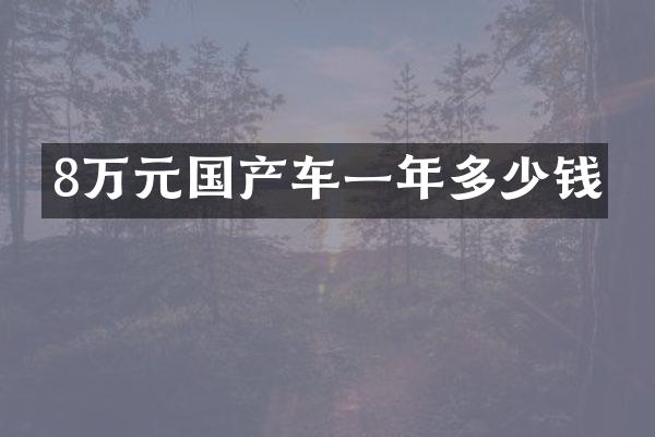 8万元国产车一年多少钱
