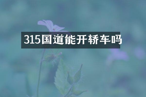 315国道能开轿车吗
