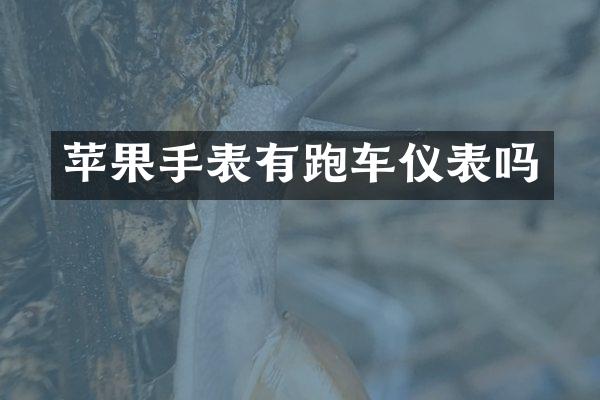 苹果手表有跑车仪表吗