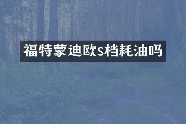 福特蒙迪欧s档耗油吗