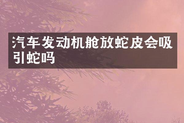 汽车发动机舱放蛇皮会吸引蛇吗