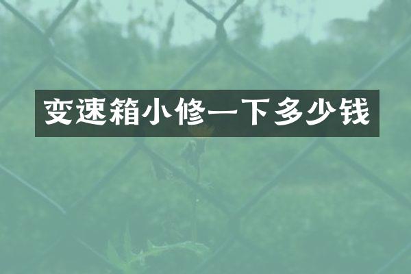 变速箱小修一下多少钱