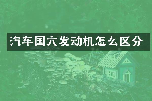 汽车国六发动机怎么区分
