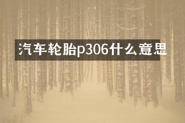 汽车轮胎p306什么意思