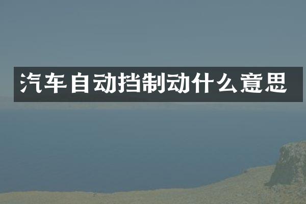 汽车自动挡制动什么意思