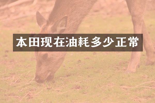 本田现在油耗多少正常