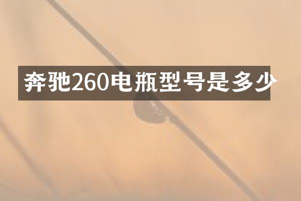 奔驰260电瓶型号是多少
