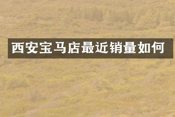 西安宝马店最近销量如何