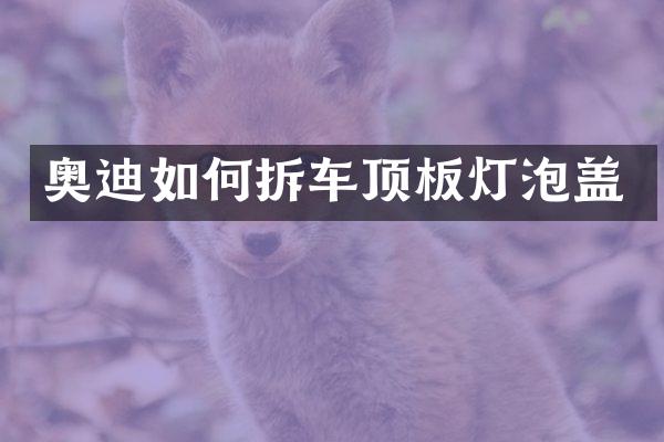 奥迪如何拆车顶板灯泡盖