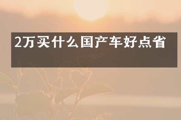 2万国产车好点省油