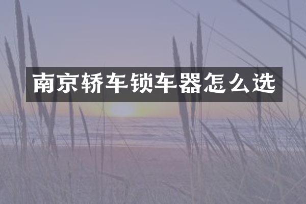 南京轿车锁车器怎么选