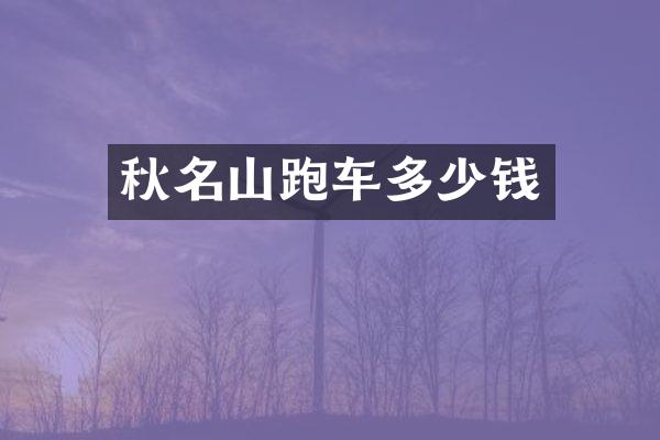 秋名山跑车多少钱