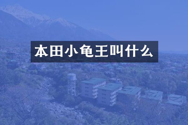 本田小龟王叫什么