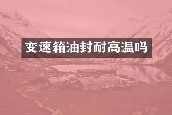 变速箱油封耐高温吗