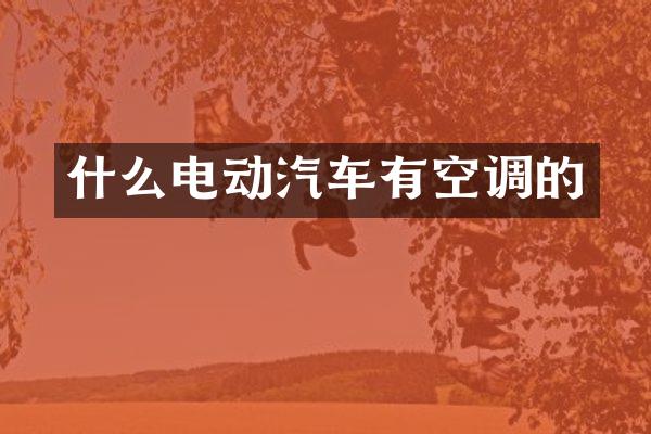 什么电动汽车有空调的